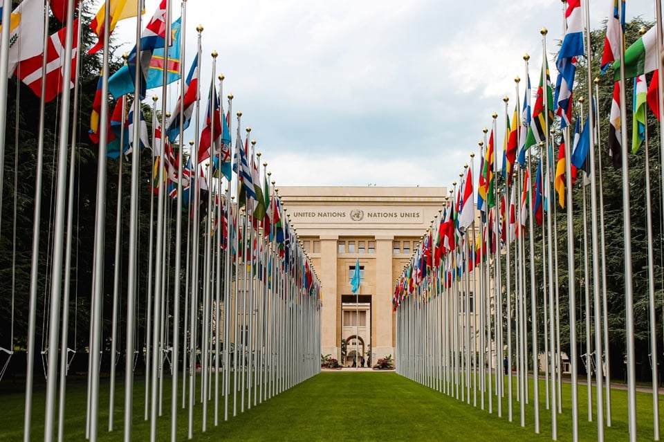 United Nations Sustainable Development Goals With LeapThought