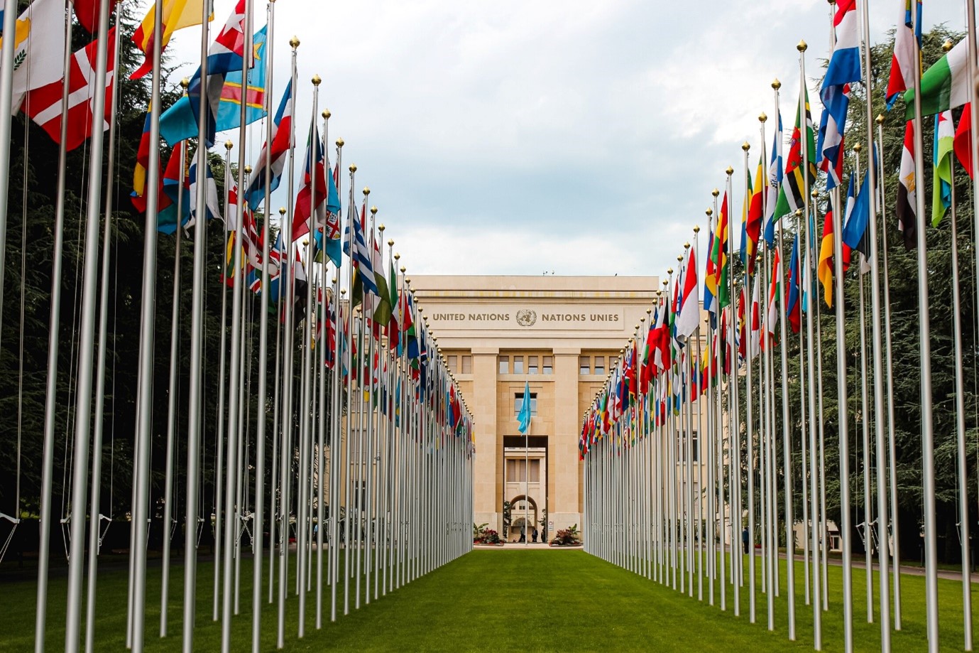 Sustainable Development Goals with LeapThought and the UN